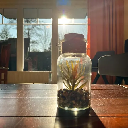 Apartmán Papillon 01-2 Boltenhagen (Ostseebad)