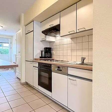 Papillon 01-2 * Boltenhagen (Ostseebad)